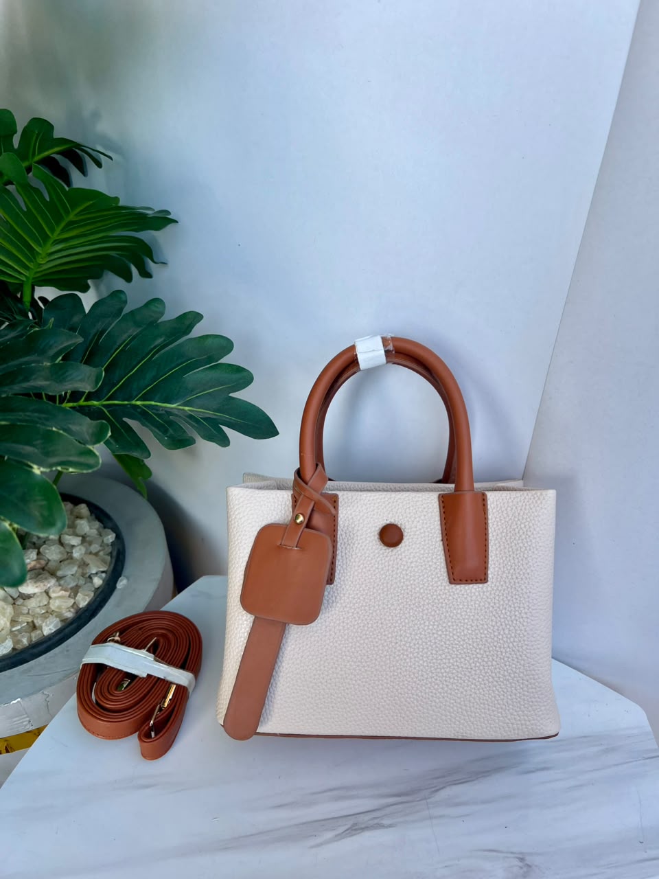Ivory Tan